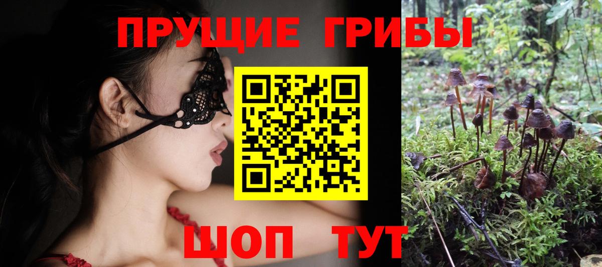 Галлюциногенные грибы Magic Shrooms Липецк