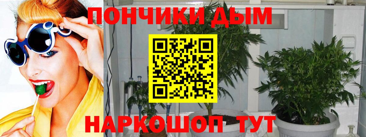 Канабис сатива  Вход с VPN  Бошки марихуана планчик  Липецк 